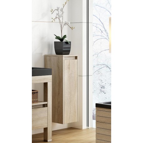 Ūkinė spintelė voniai Amber C40